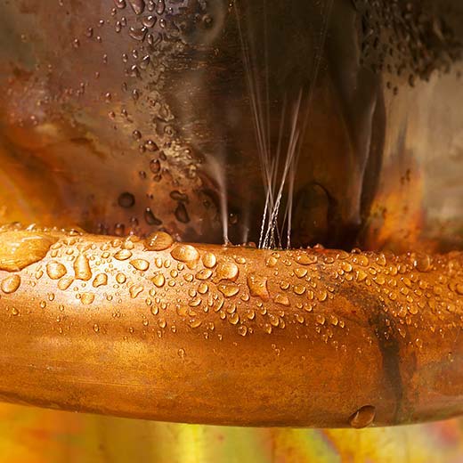 Same Day Hamlin Plumbing Service, drains, septic, trenchless.